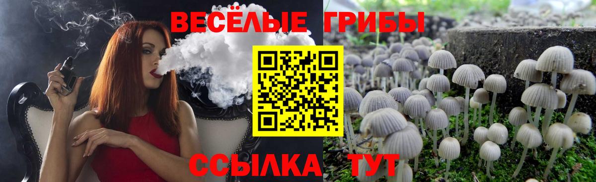 Псилоцибиновые грибы Cubensis Озёры